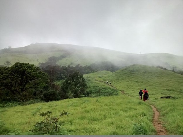 Kodachadri_trail