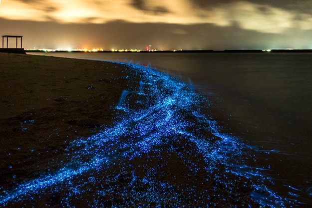 Maldives