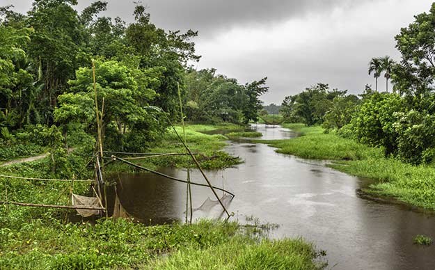 Monsoon-Jorhat