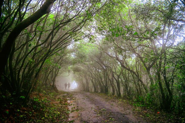 amboli4