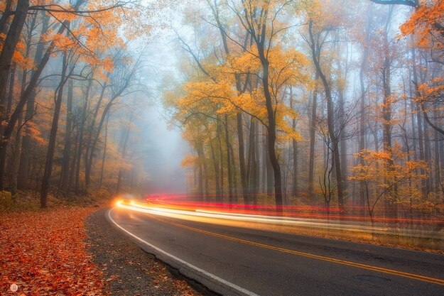 american-landscape1