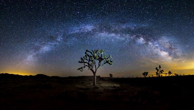 american-landscape10