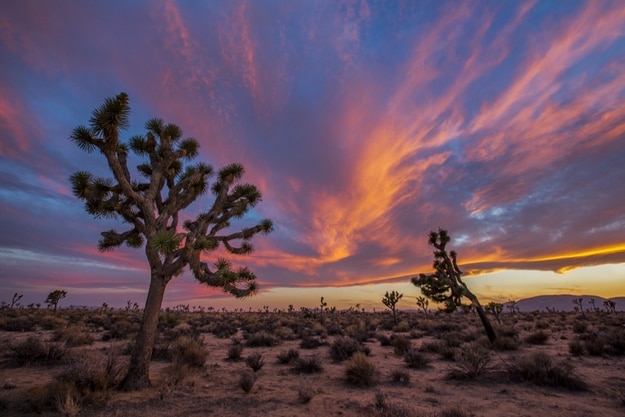 american-landscape6