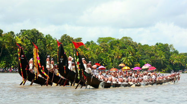 Photograph: Shutterstock