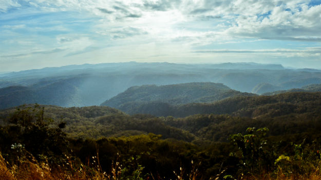 Dandeli Wildlife Sanctuary