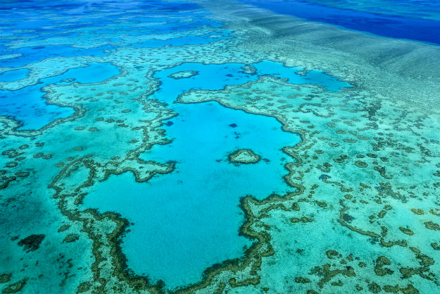 great barrier reef