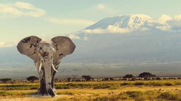 tanzania