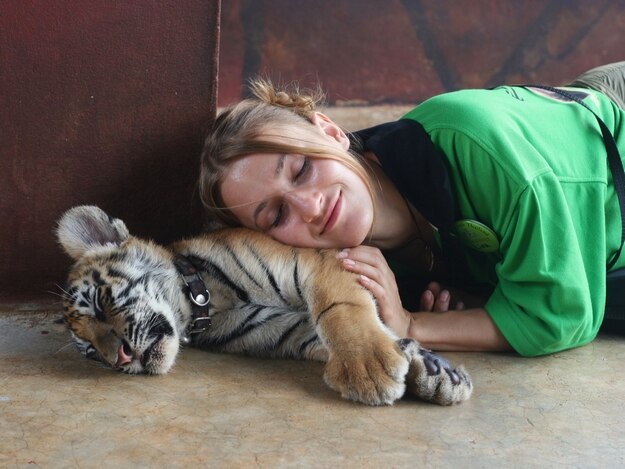 tiger temple thailand