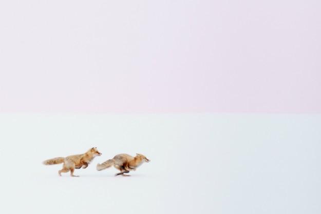 Photo and caption by Hiroki Inoue /National Geographic Travel Photographer of the Year Contest
