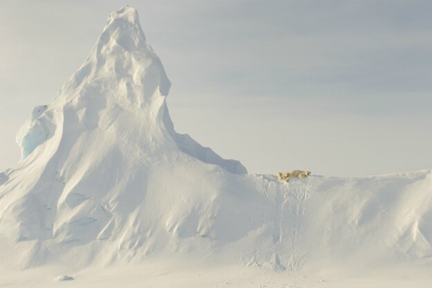 Photo and caption by John Rollins / National Geographic Travel Photographer of the Year Contest