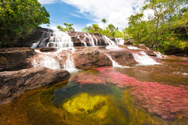 Cano-Cristales-river