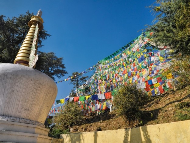 Colorful buddhist prayer flags in town of Dharamshala, Himachal Pradesh, India
