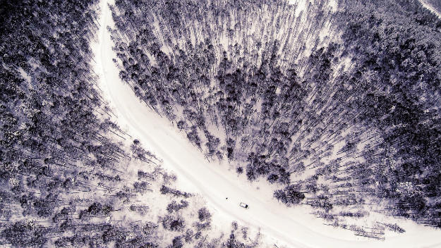 Frozen Forest and the Road