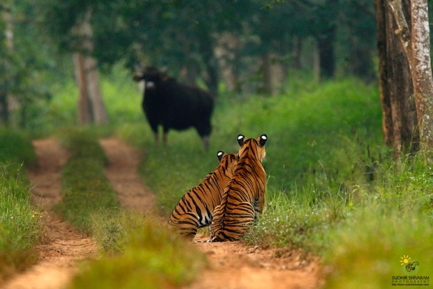 sudhir shivaram 1