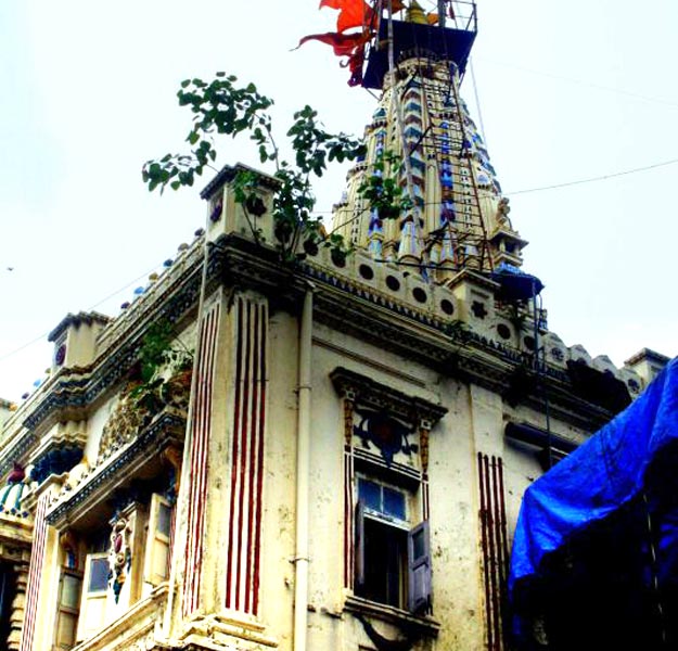 Photograph courtesy: Wikimedia Commons