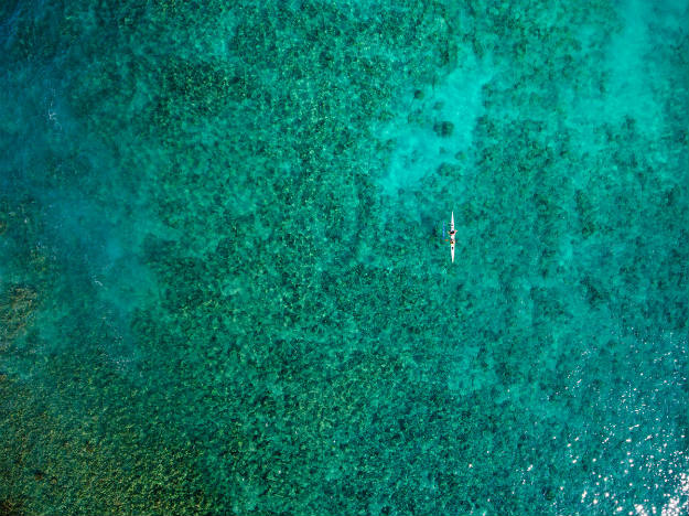 Reef Exploration