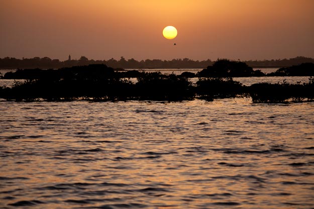 Saloum-Delta