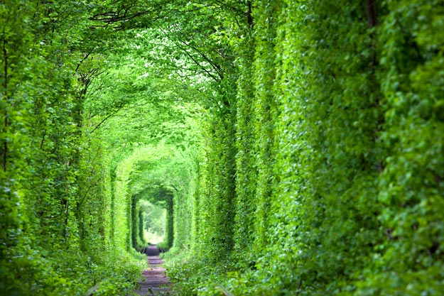 Tunnel-of-love
