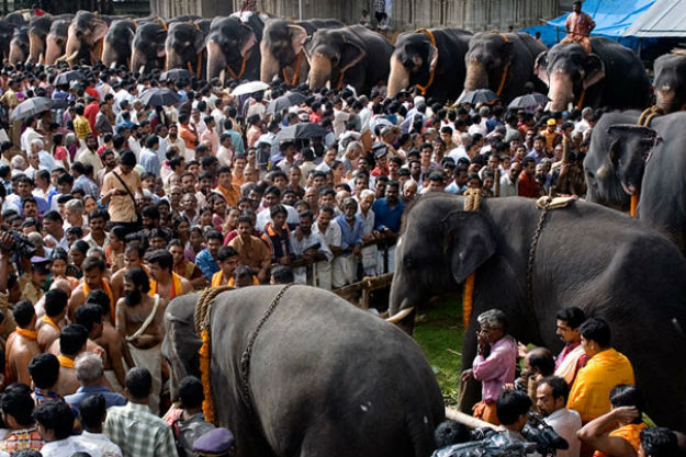 Photograph: Kerala Tourism