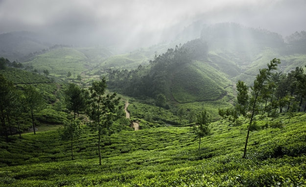 625px x 383px - Travel Articles | Travel Blogs | Travel News & Information | Travel Guide |  India.com10 breathtaking hill stations in India you must visit this monsoon  | India.com