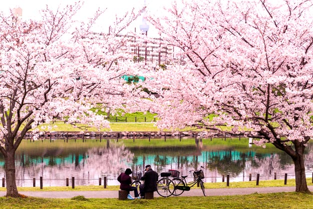 japan