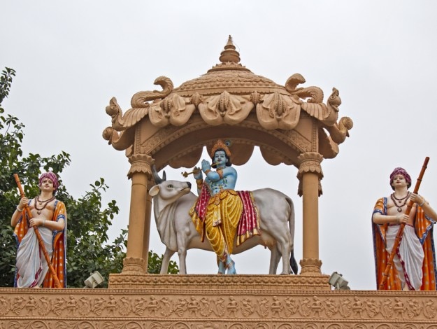 Detail of the gates of Krishna Janma Bhumi