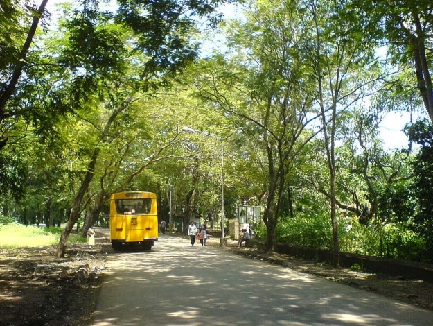Sanjay_Gandhi_National_Park_(289439070)