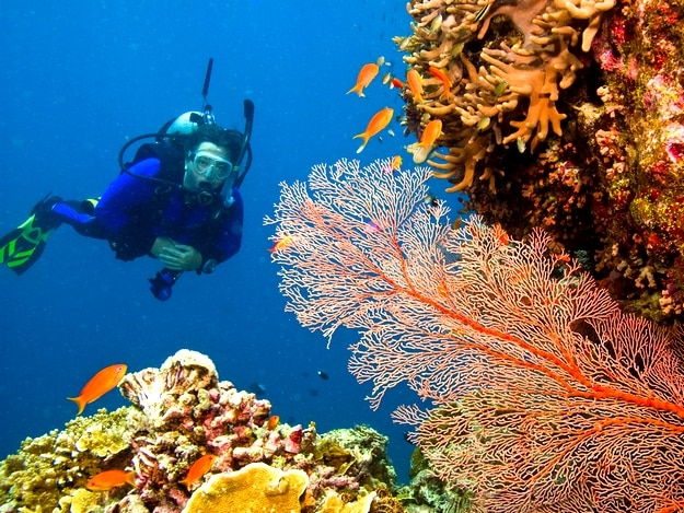 great-barrier-reef2