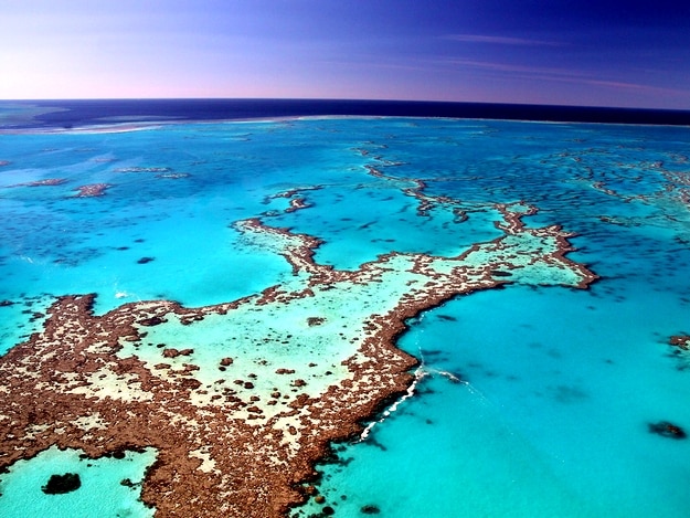 great-barrier-reef3