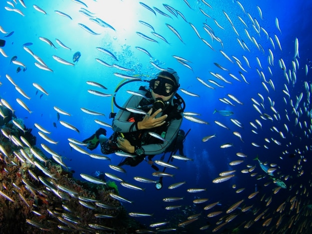 great-barrier-reef5