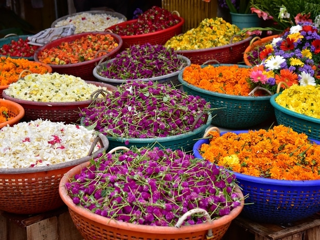 Photograph: Shutterstock