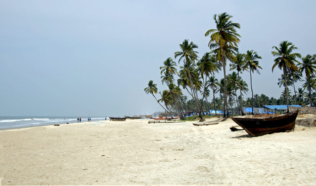 Photograph: Shutterstock