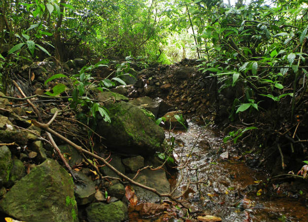 Monsoon trek from Mumbai: Kalavantin Durg and Prabalgad will take your ...