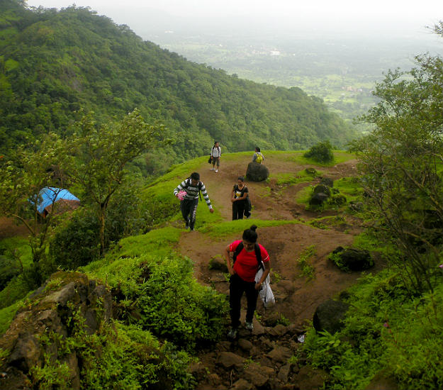 Photograph courtesy: Avinash Bhanu
