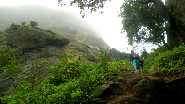 Photograph courtesy: Avinash Bhanu
