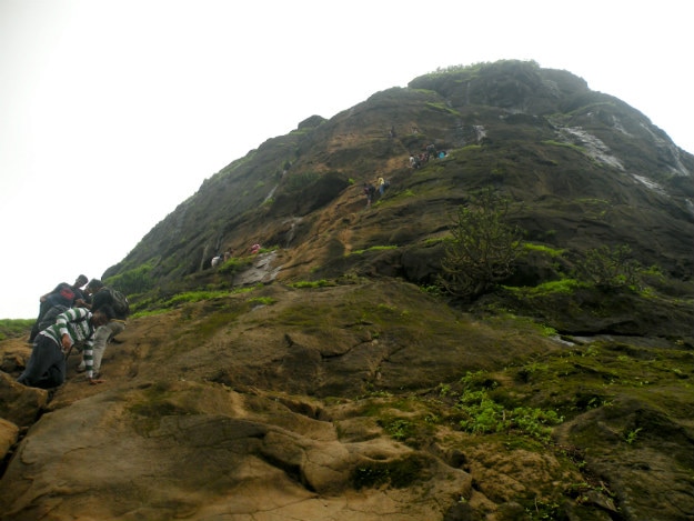Photograph courtesy: Avinash Bhanu