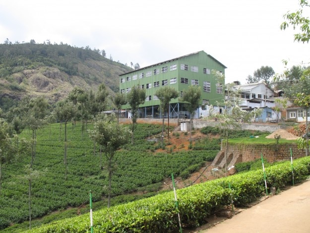 Tea_factory_and_tea_plantation nilgiris