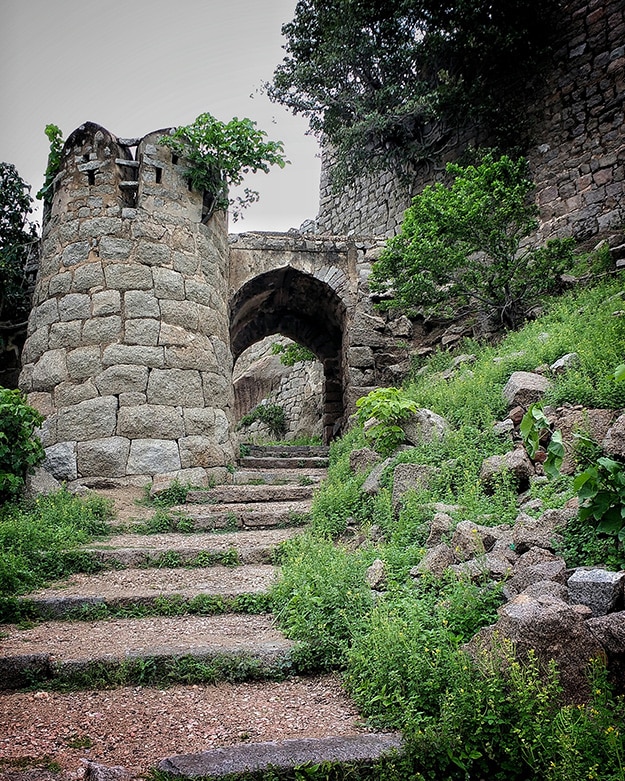 IMAGE-11