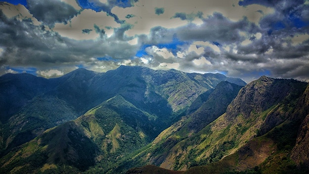 IMAGE-13
