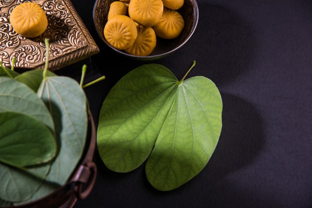 Aapti leaves
