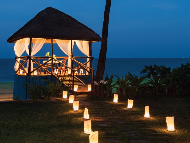 Fishcove man vivanta