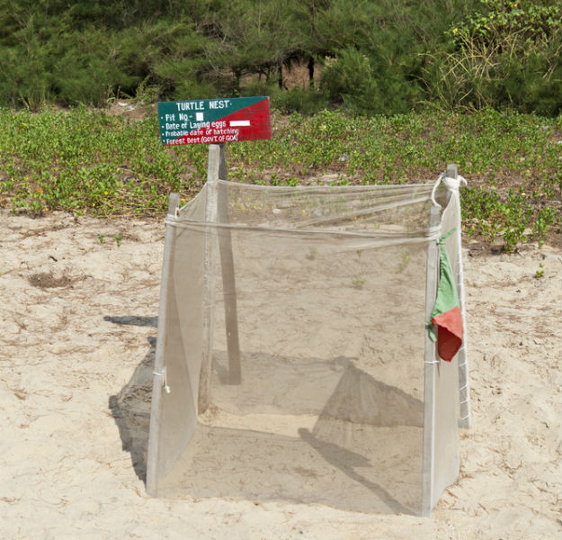 Galgibaga beach 2