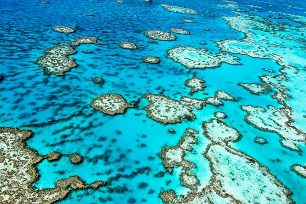 Great Barrier Reef