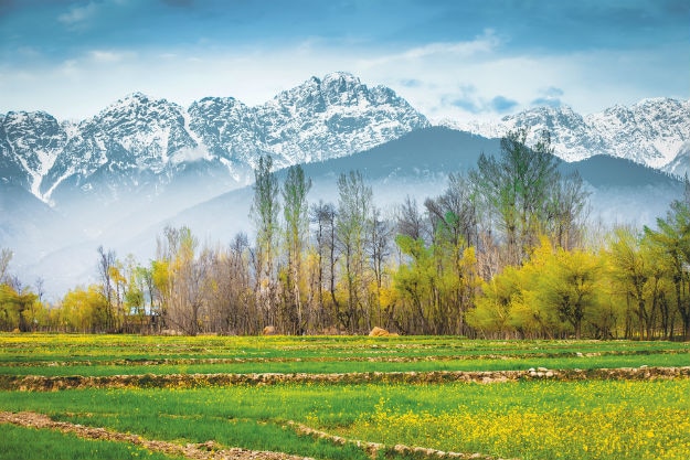 Srinagar winter