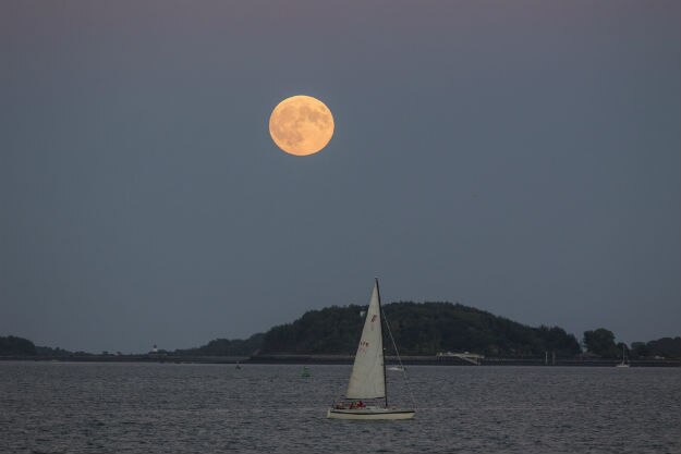 Photograph: gettyimages