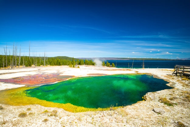 SHOCKING: Man DISSOLVES in Yellowstone’s Norris geyser basin! | India.com