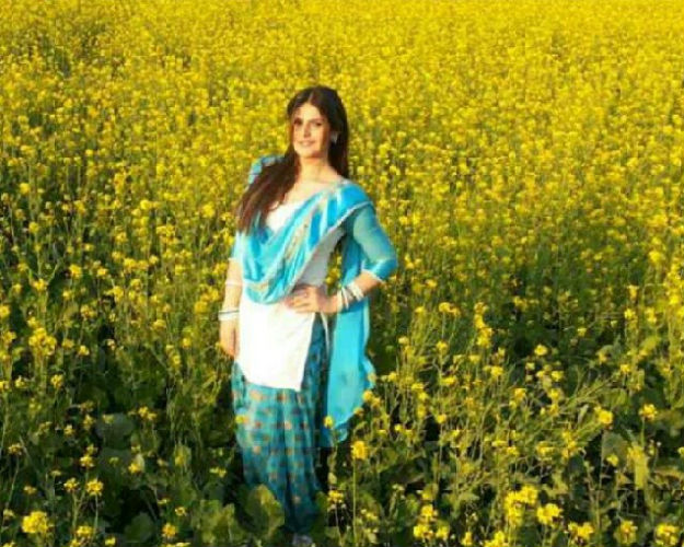 Zareen Khan 11
