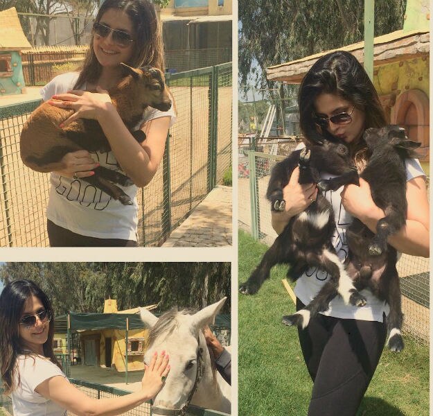 Zareen Khan 3