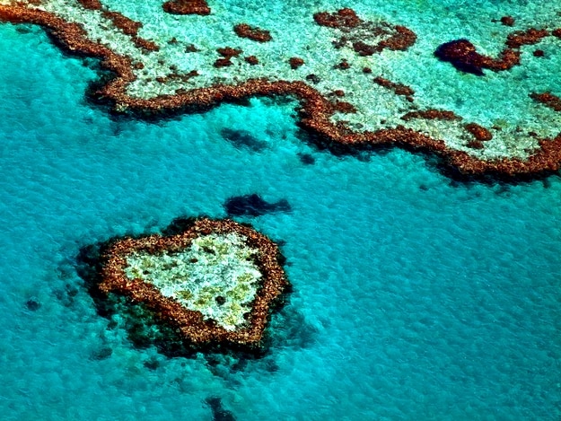 great-barrier-reef1