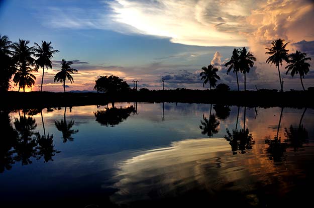 Chilika Lake